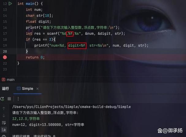 c语言 printf double