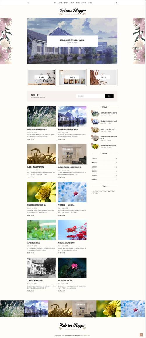 seo技术资讯个人博客织梦模板