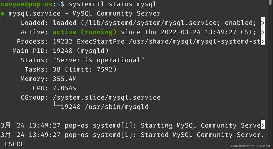 centos c语言 mysql