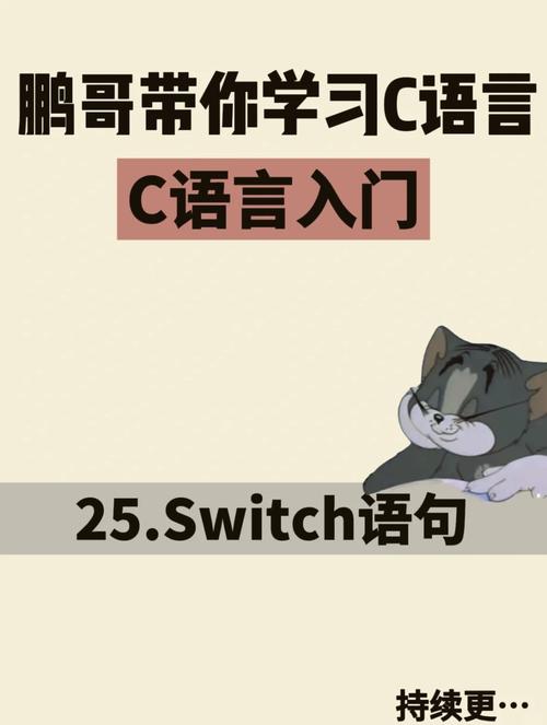 c语言switchcase用法
