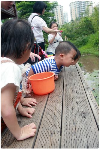 宝宝泡育儿dede5.31模板