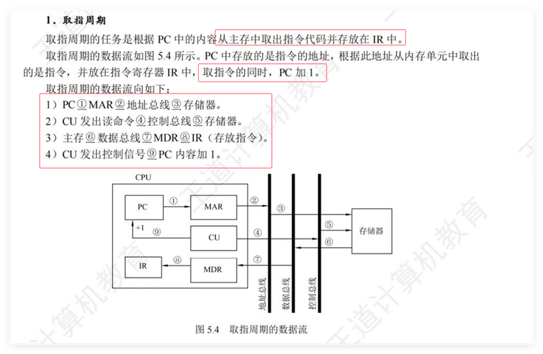 c语言可执行程序从什么开始执行