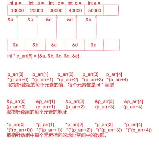 c语言中 数组名是一个不可变的