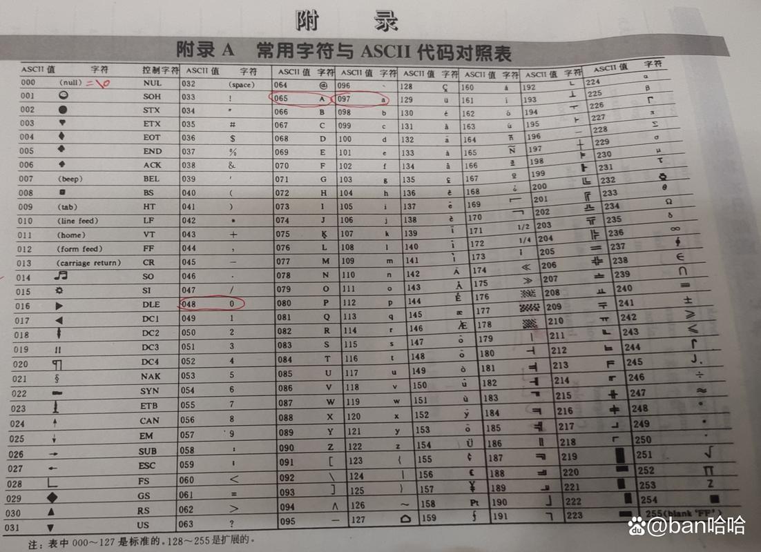 c语言输入小写字母输出大写字母