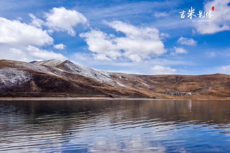 蓝色政府协会类织梦网站