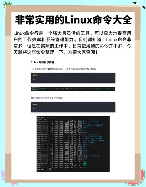 dede权限设置 linux