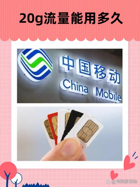 织梦二维码可以用多久