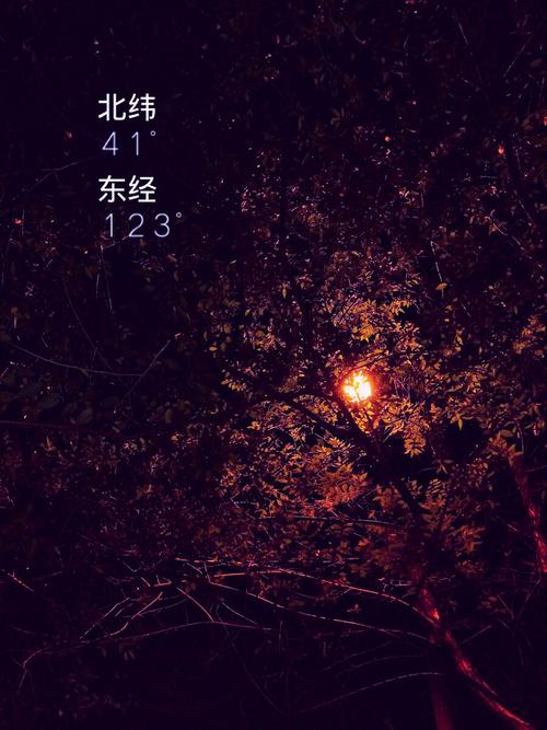 织梦网本地安装登陆路