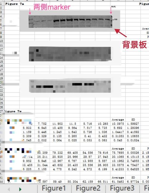 dede 顶一下 数据