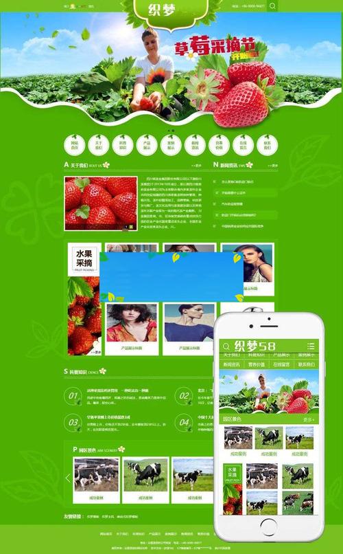 织梦手机网站如何调用