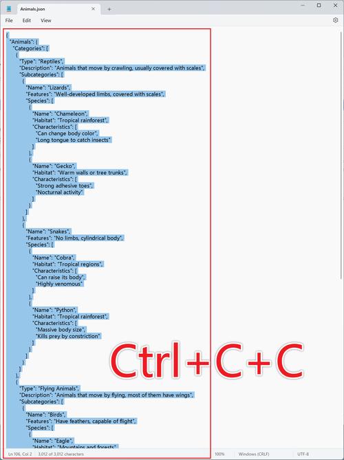 json c 语言开发指南