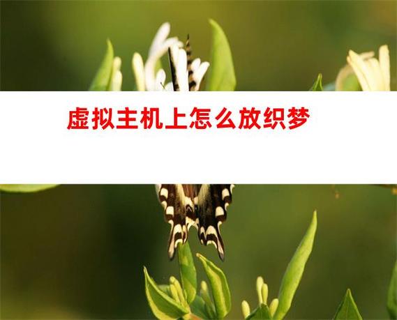 织梦怎么重启虚拟主机