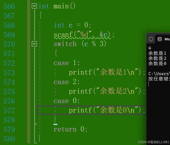 c语言switch什么意思