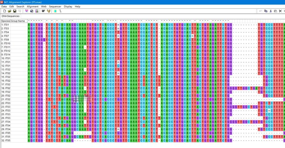 dede 排列顺序值