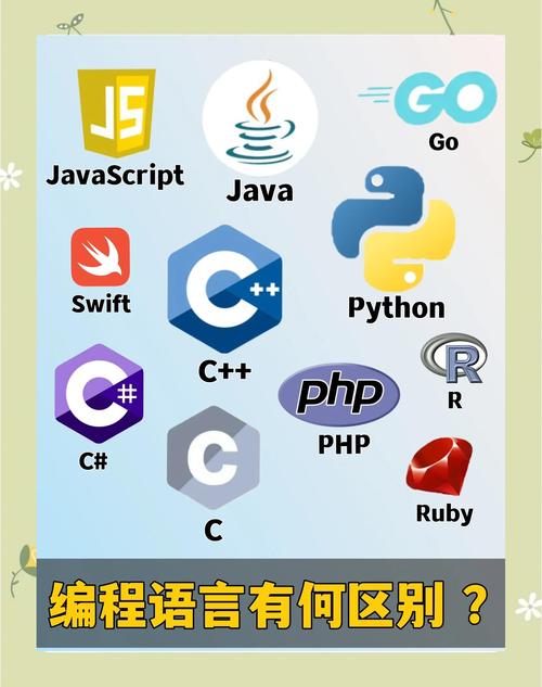 先学java还是c语言